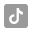 tiktok-icon